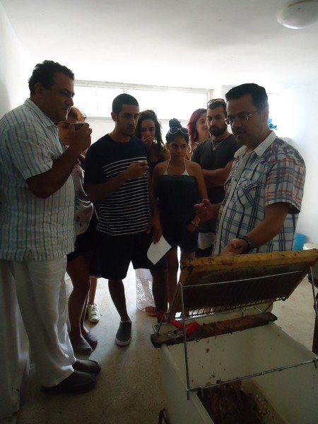 9th Annual Honey Harvest Event 